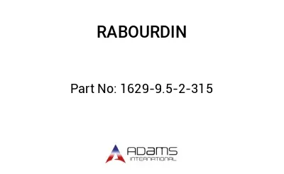1629-9.5-2-315 1629-9.5-2-315