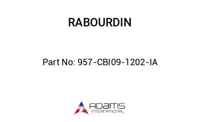 957-CBI09-1202-IA