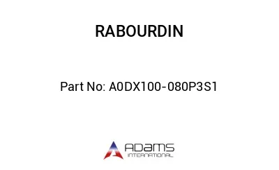 A0DX100-080P3S1