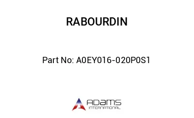 A0EY016-020P0S1