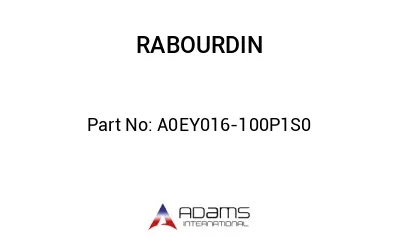 A0EY016-100P1S0