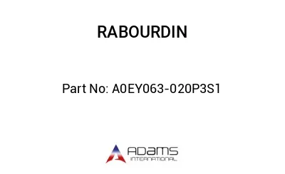 A0EY063-020P3S1
