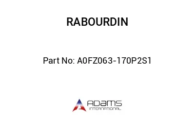 A0FZ063-170P2S1